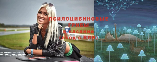 а пвп мука Белокуриха