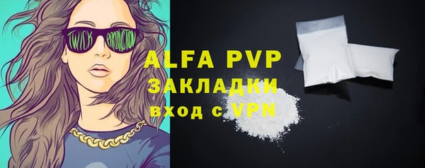 метадон Богданович