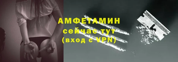 индика Белоозёрский