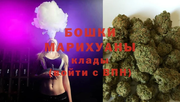 индика Белоозёрский